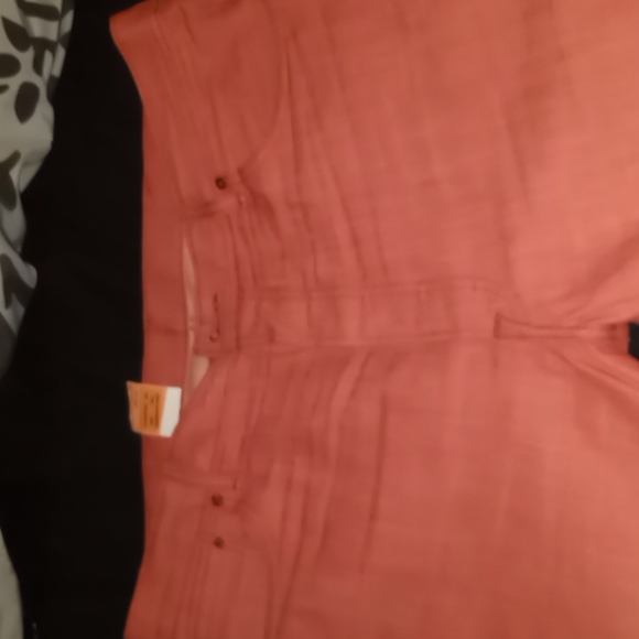 Levi - Picture 3 of 4